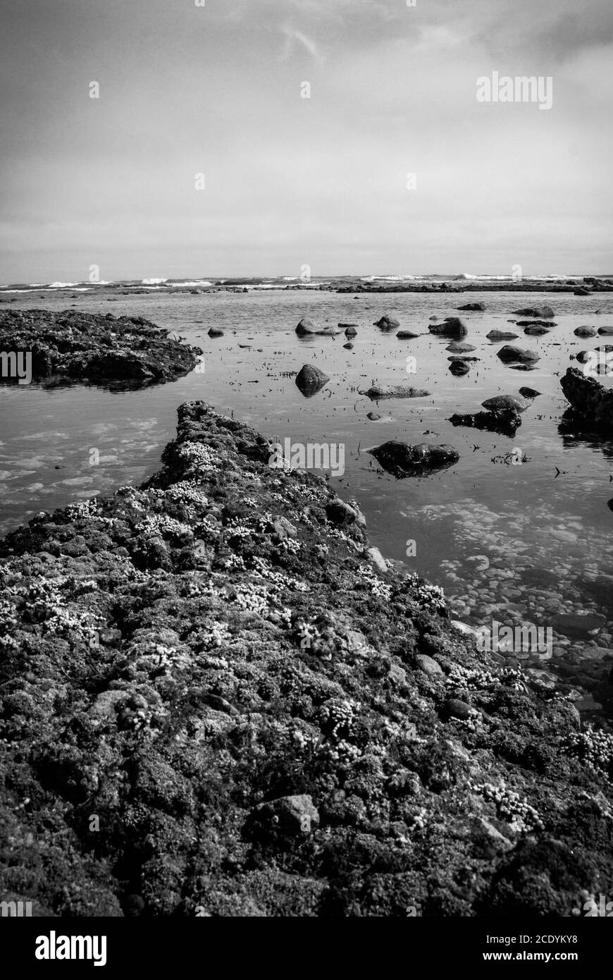 Ground level at low tide in Etretat, Normandy, France Stock Photo - Alamy