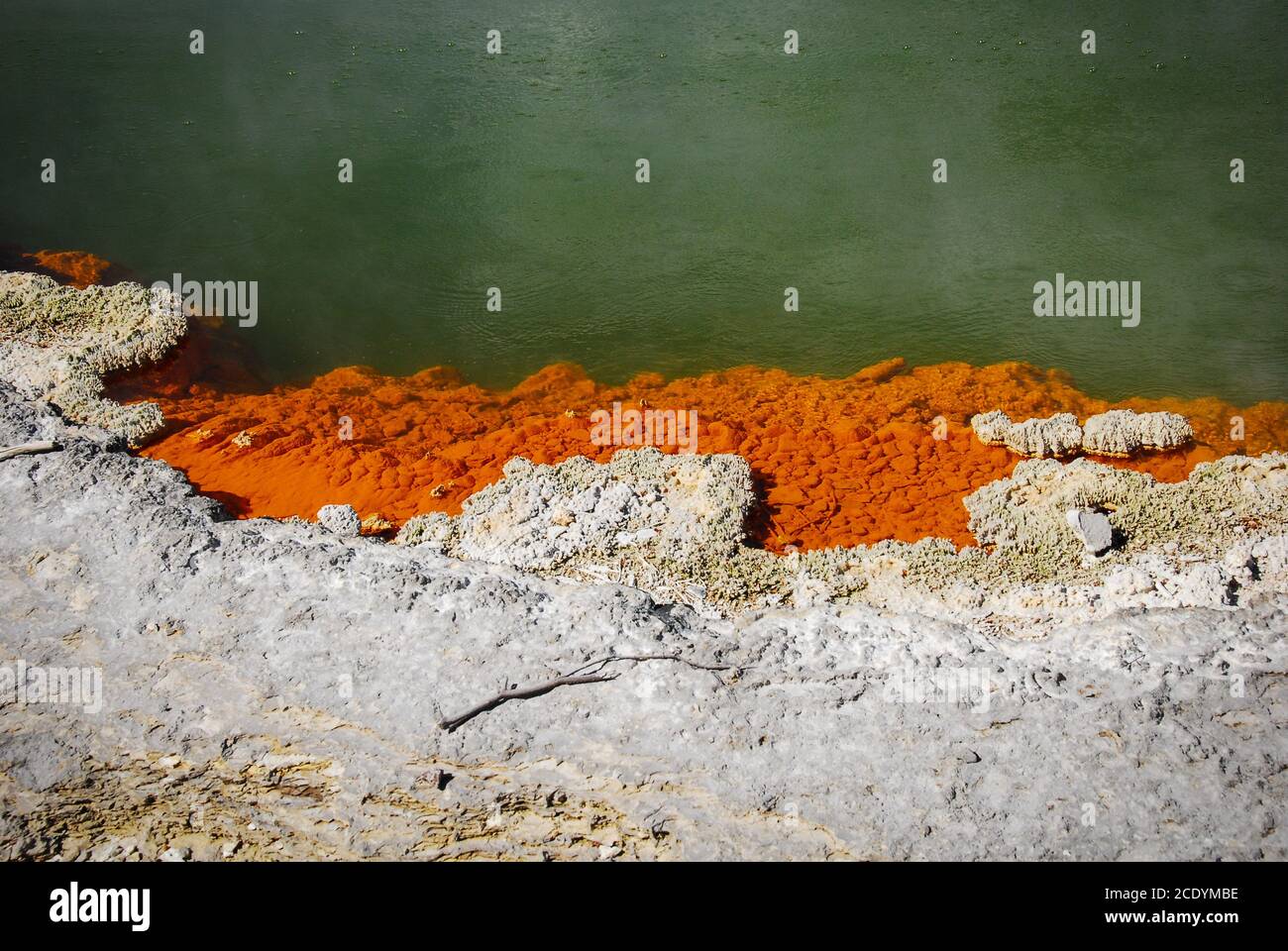 Champagne pool in Wai-O-Tapu Thermal, Rotorua, New Zealand Stock Photo