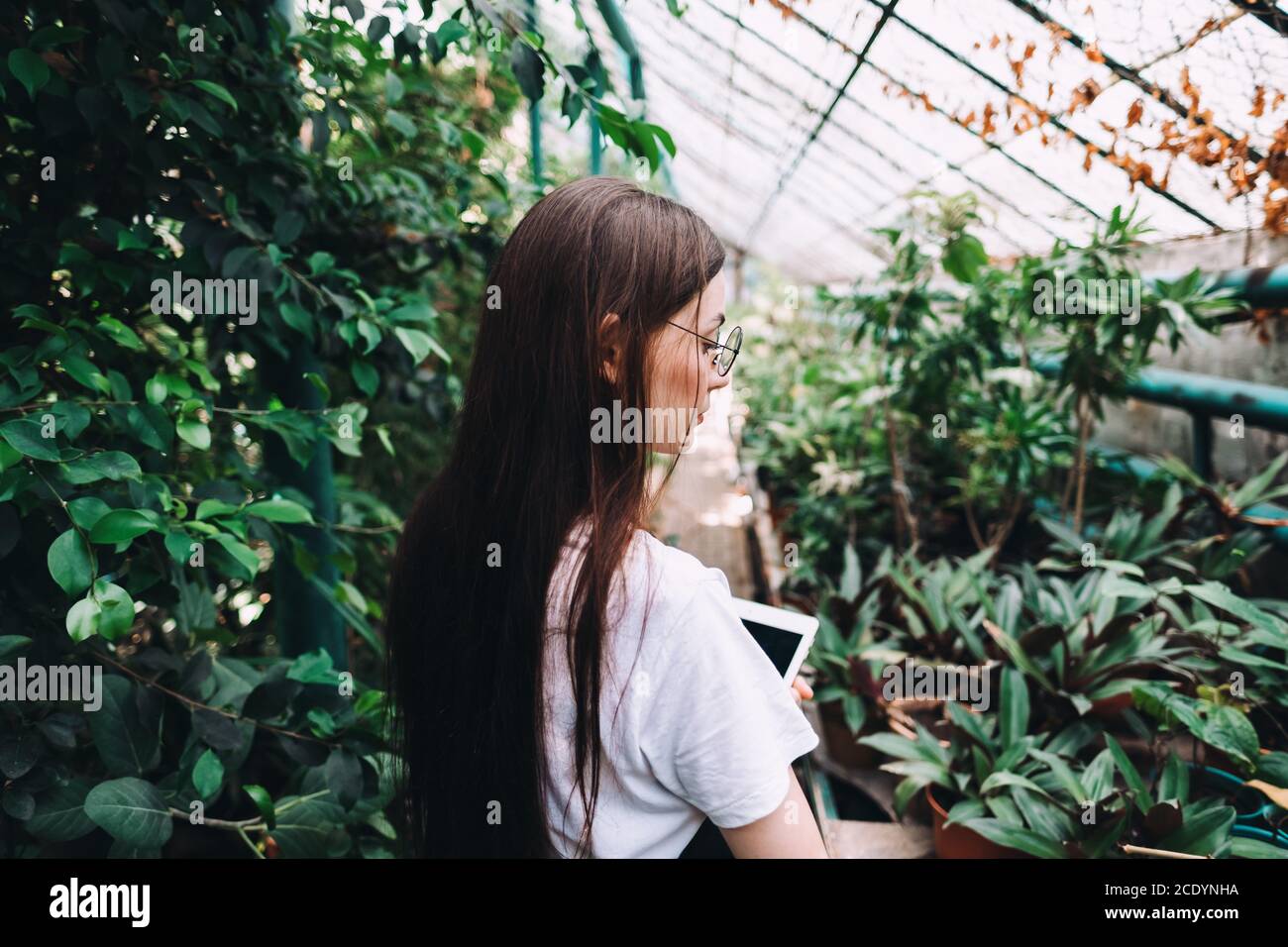 Young woman gardener in glasses and apron working in a garden center ...