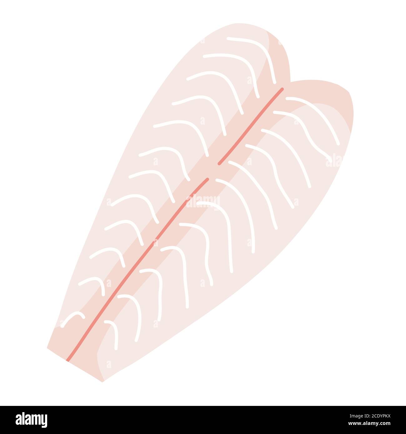 White fish fillet, fresh raw seafood, isolated vector illustration