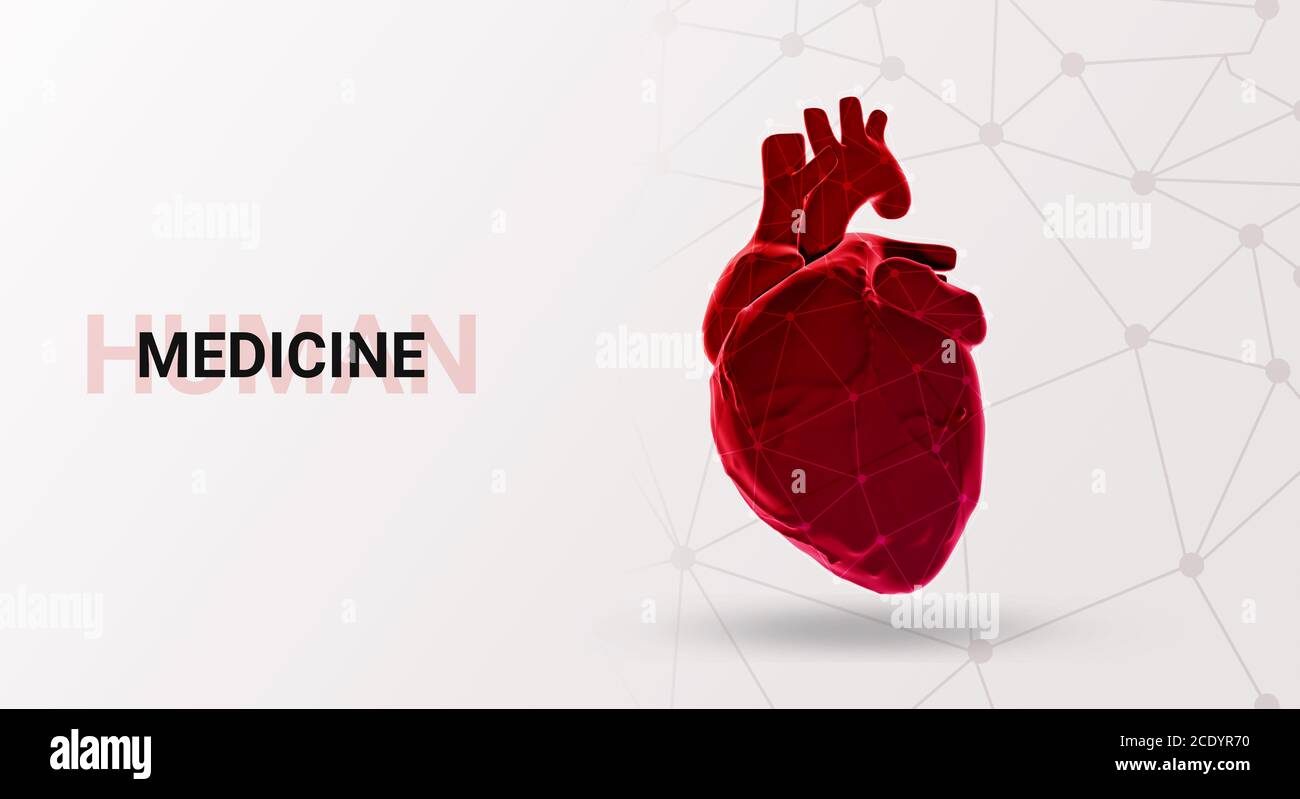 Illustration of human heart isolated on white background Stock Photo ...