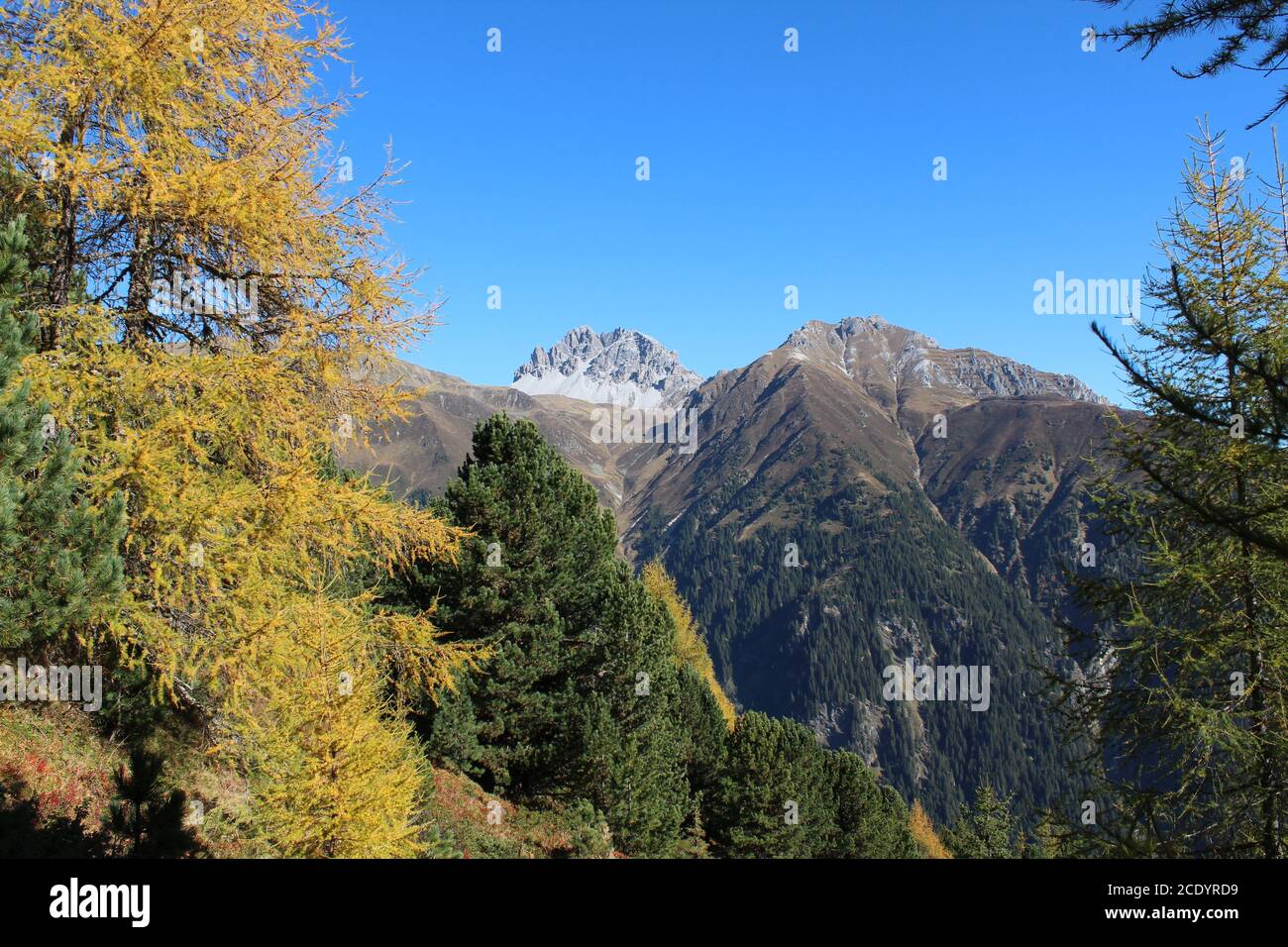 View on the alpine landscape of the eastern alps in Neustift in the Stubai Valley Stock Photo