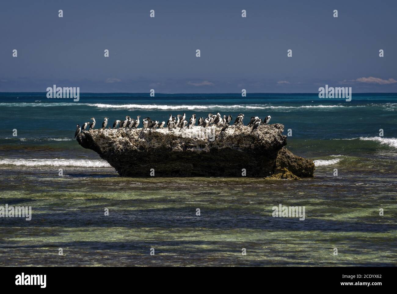 Indian Rock Group High Resolution Stock Photography and Images - Alamy