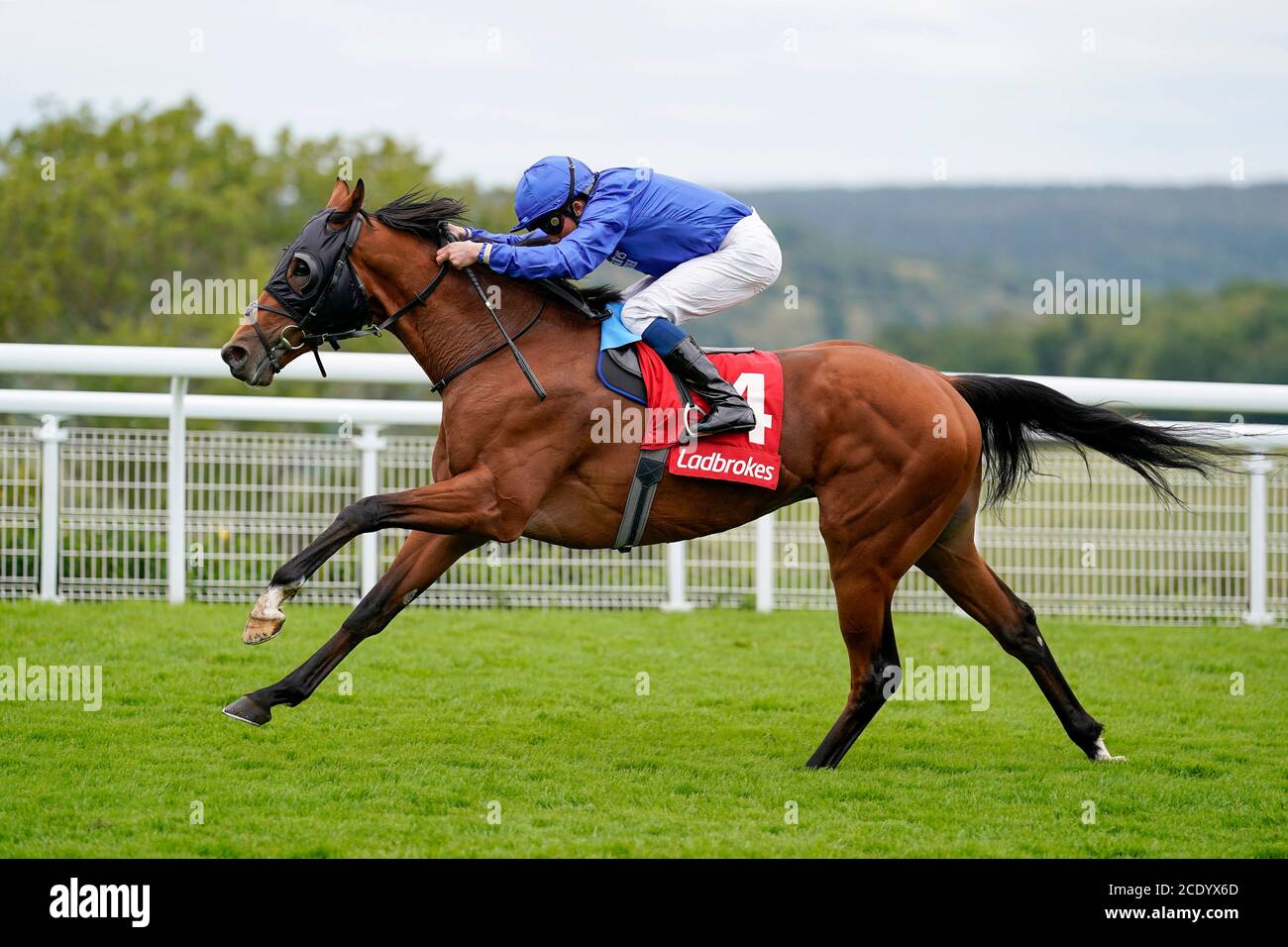 Native Tribe ridden by jockey William Buick wins The Ladbrokes Get Your Daily Odds Boost Handicap at Goodwood Racecourse, Chichester. Stock Photo
