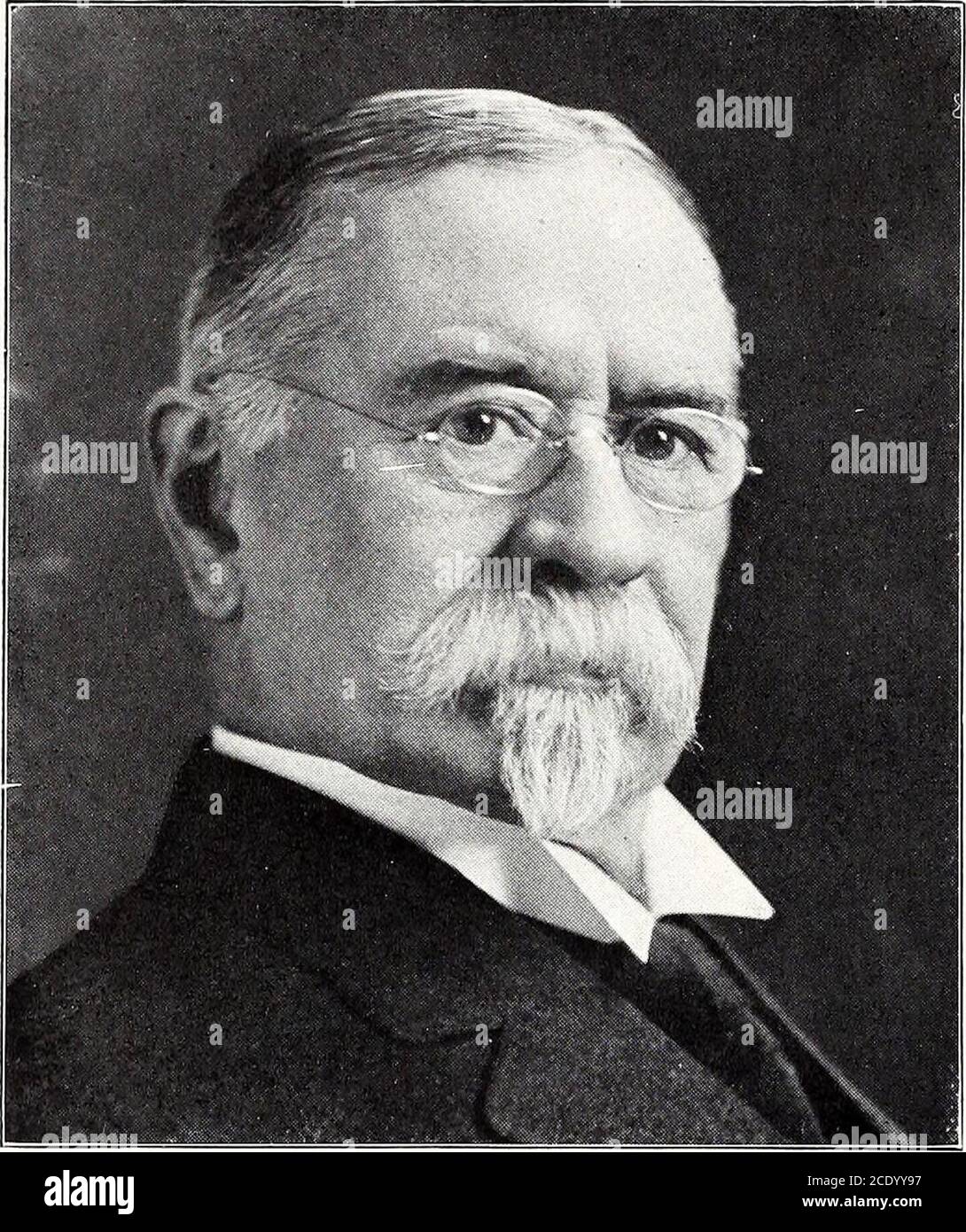 . Notable men of Illinois & their state . of Physicians and Surgeons; mem. Chi. Med. Soc,A. M. A., Chicago Clinical Soc, Physicians Club, Chicago Neuro-logical Soc; repub.; club. Quadrangle; office, 31 N. State St. TINSMAN, HOMER ELLSWORTH, lawyer, Chicago; b. Romeo,Mich., Oct. 21, 1860; s. William H. and Marv .1. (Hosncr) Tinsman;grad. Romeo high schl. 187S: A. B., Univ. of Mich., 1883; adm. to HI.bar, 188.5; began practice Burke & Hollett, Dec, 1886: mem. firmof Burke, Hollett & Tinsman, 1887; 1893 firm became Hollett &Tinsman, and later, Hollett, Tinsman & Sauter; dissolved, 1905,and presen Stock Photo
