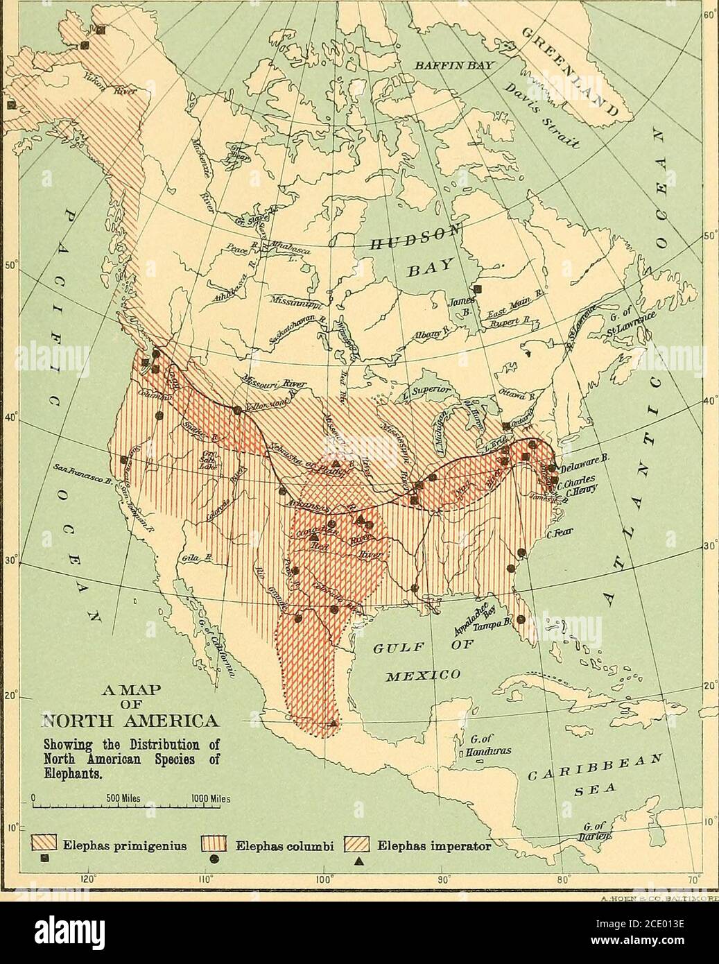 . Maryland geological survey . of deposition and certain charac-teristics of location based on the existing topography. Only a few ofthe large number of localities examined furnished well-defined specimenscapable of identification. The geological horizons, localities where plantremains were collected, and the nature of the deposits are shown in thefollowing table: Formation. Sunderland Talbot Locality. Nature of Deposits. Near the headwaters of Island Creek, Calvert county Buff colored sandy clay.Point of Rocks, Calvert county Grayish sandy clay. Bodkin Point, Anne Arundel county Peat and coar Stock Photo