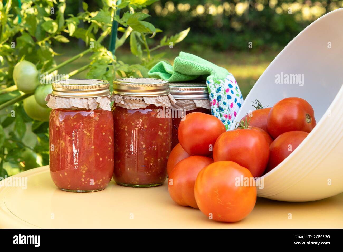 Canning fresh tomatoes from the backyard garden Stock Photo Alamy