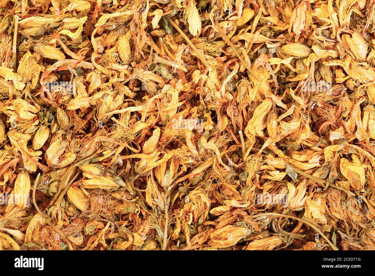 Dry Saint John's Wort, Goat weed, Hypericum, Millepertuis Stock Photo