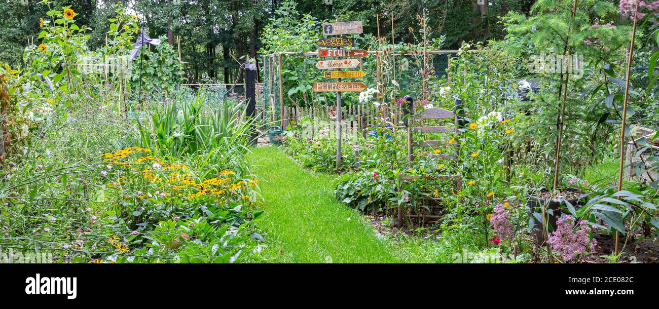 kinds of nike running shoes