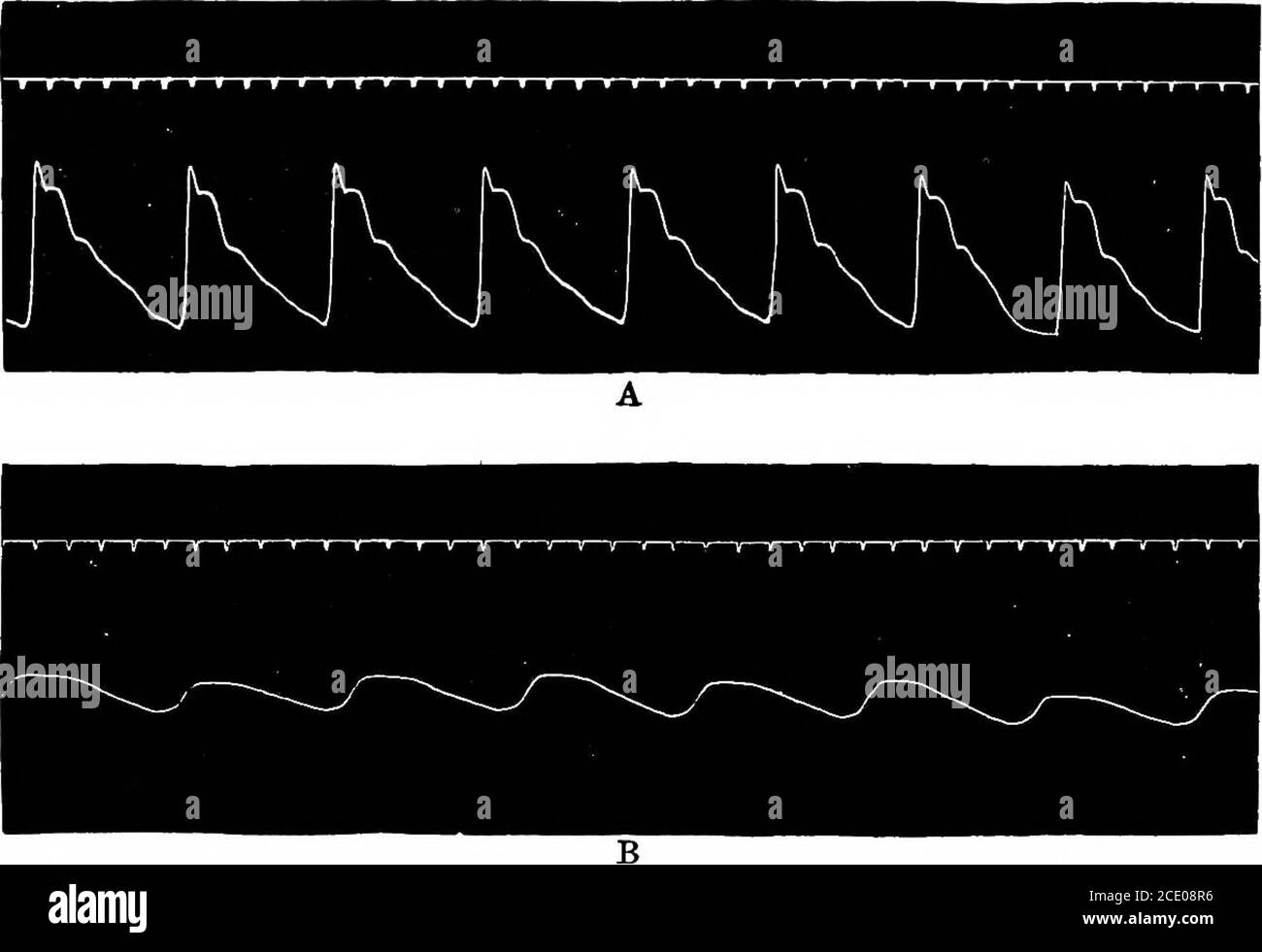 The Clinical Study Of Blood Pressure A Guide To The Use Of The Sphygmomanometer In Medical Surgical And Obstetrical Practice With A Summary Of The Experimental And Clinical Facts Relating To