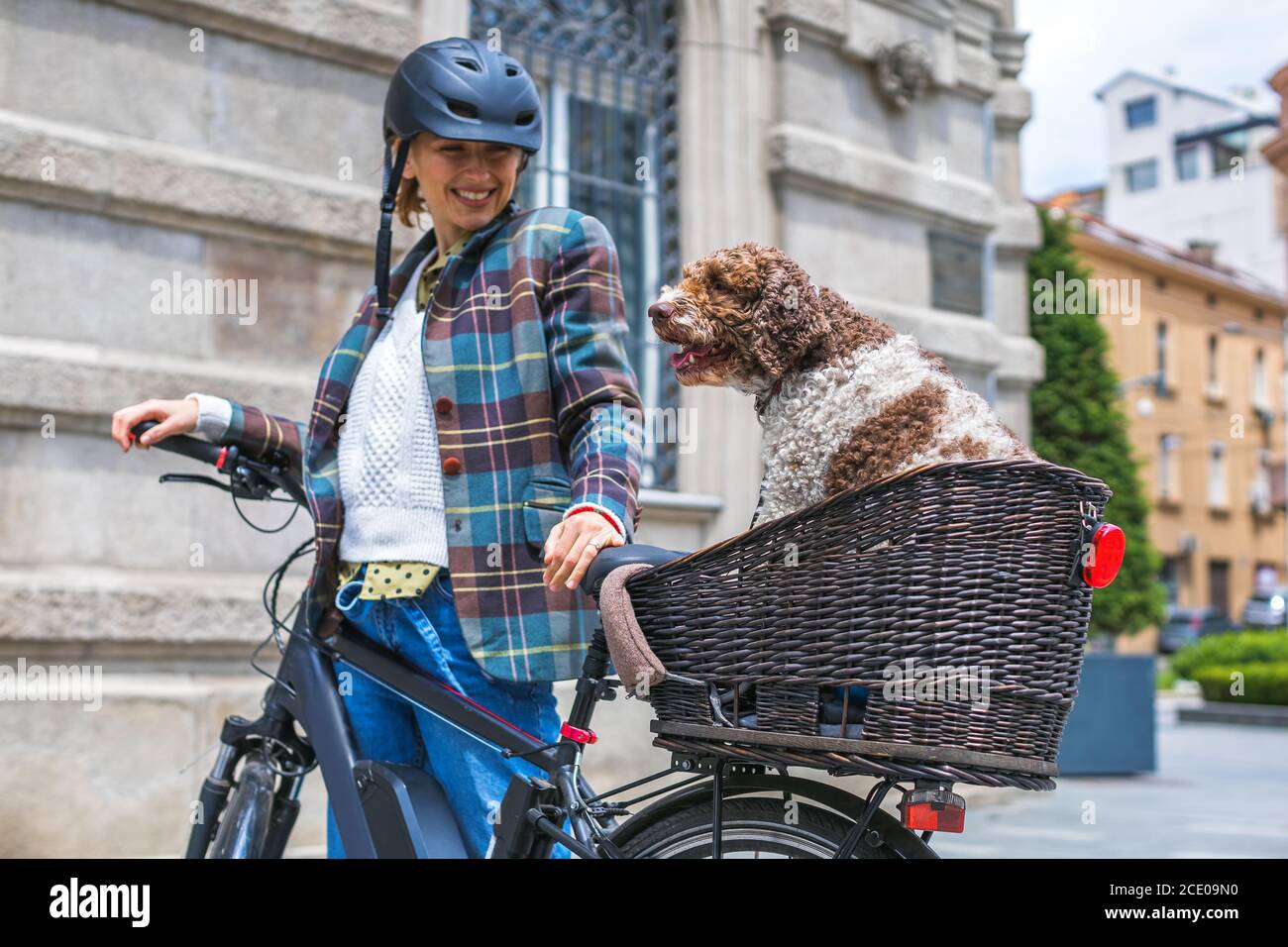 Ladies bike discount with dog basket