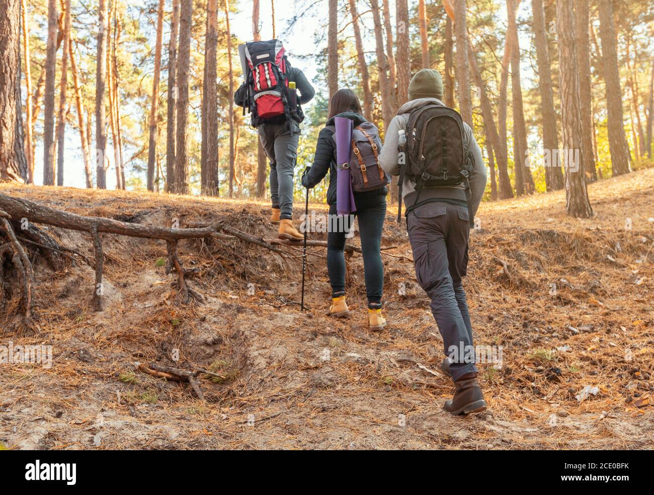 Woman Hiking Forest Path High Resolution Stock Photography and Images