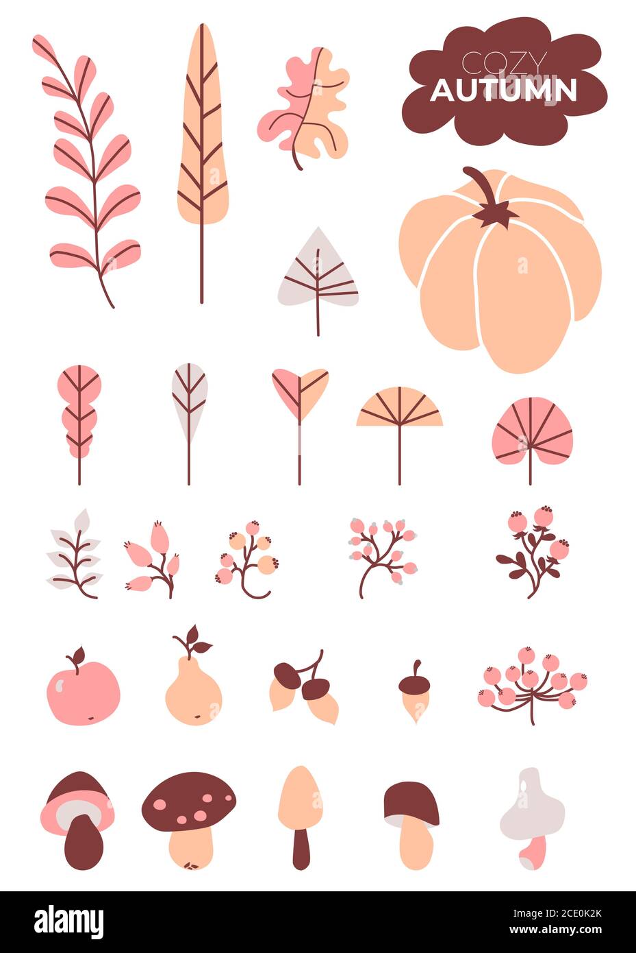Colored set of autumn drawings. Cozy autumn. Various leaves and branches, berries and acorns, mushrooms and pumpkin, an apple and a pear. Use for fall Stock Vector