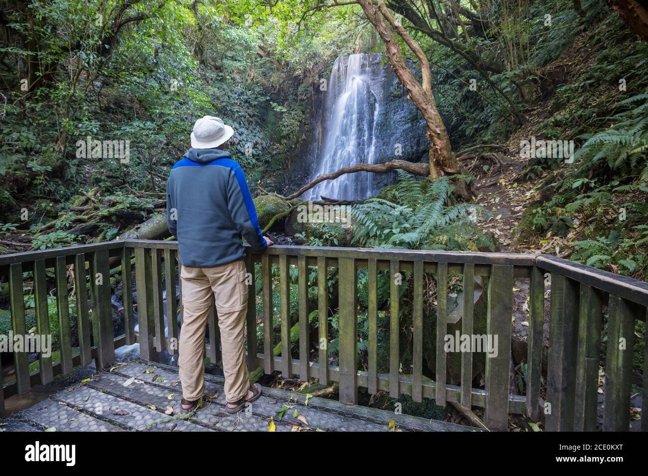 New Zealand waterfall Stock Photo - Alamy