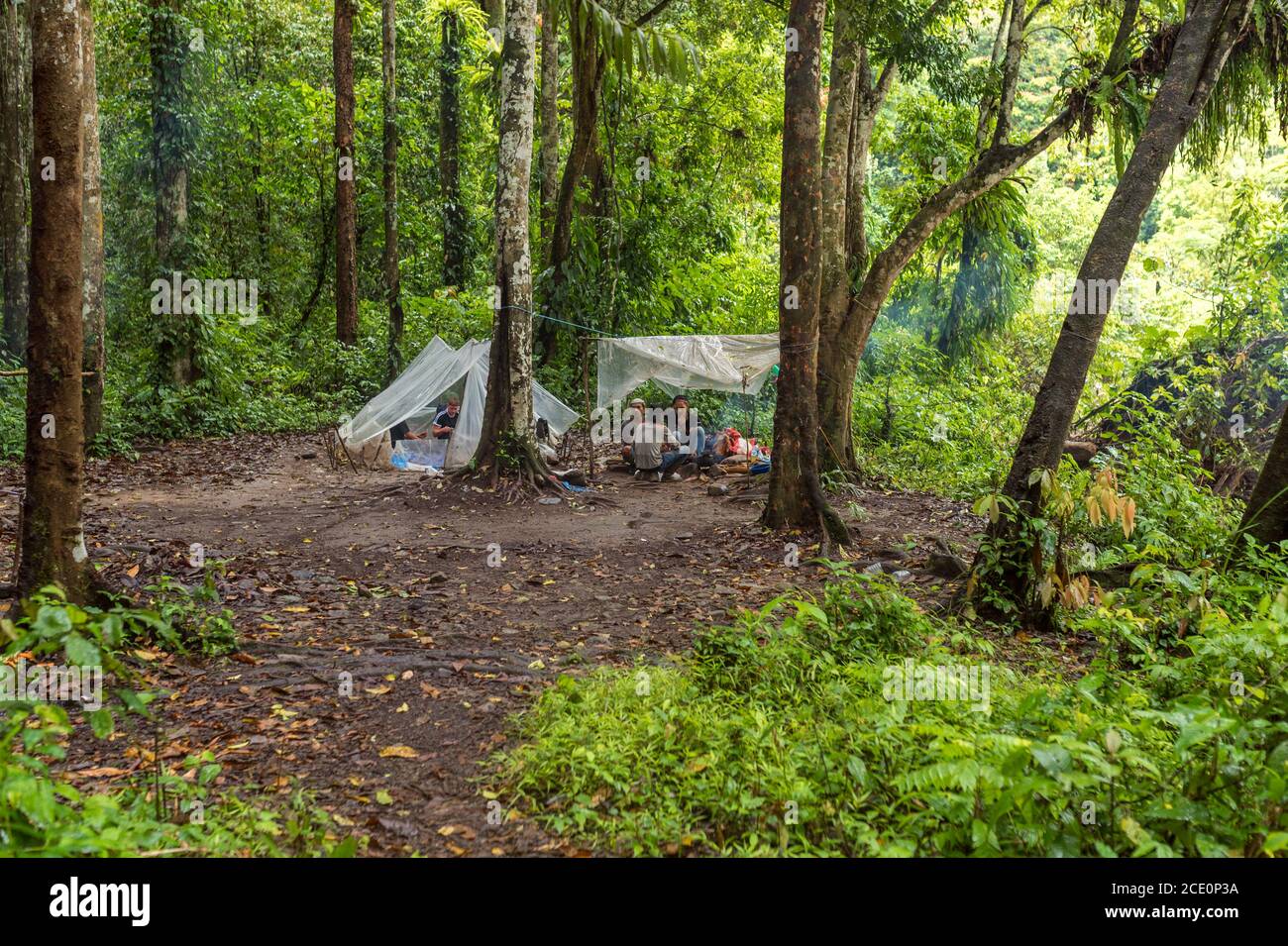 Guides, porter and tourists in the first camp at campfire  and in tents in the jungle of Ketambe Stock Photo