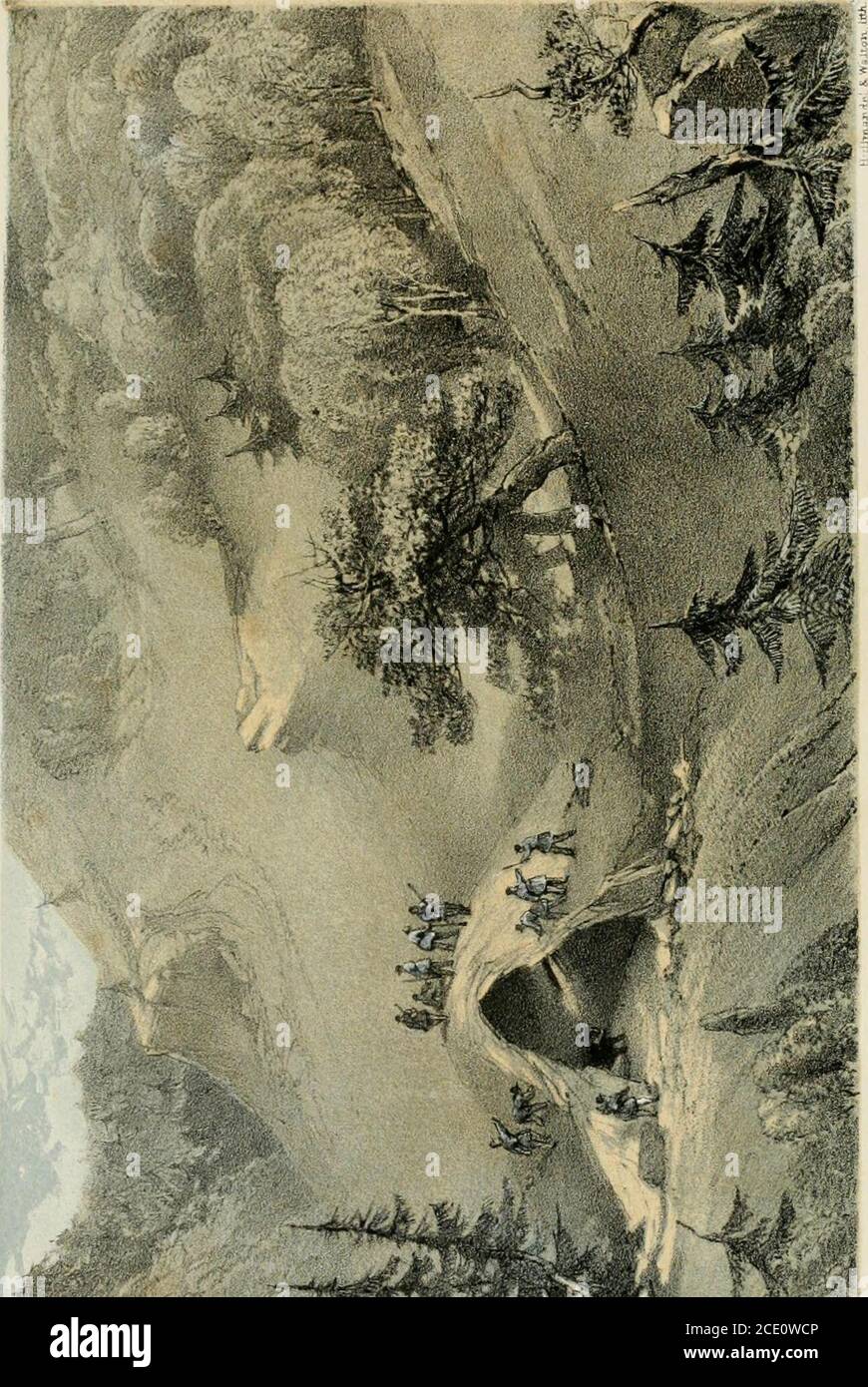 Shooting In The Himalayas A Journal Of Sporting Adventures And Travel In Chinese Tartary Ladac Thibet Cashmere C N Old Hill Man Hand Me The Torch Whichhe Had Tied On
