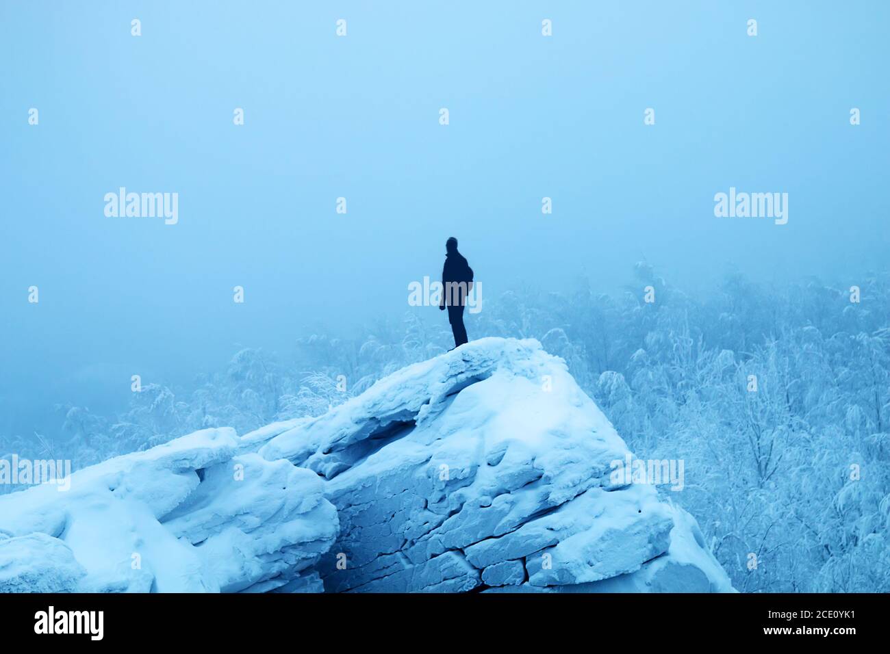 Hiker on edge of cliff and panorama of snow-covered forest Stock Photo