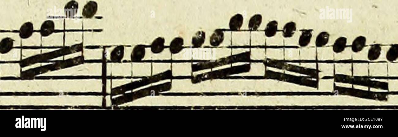 Silvain Cul T Lt Ct I F I M F R R W A Coi 2 F O T H Te G Nrf F F I4 Dh E Feg F Ff E