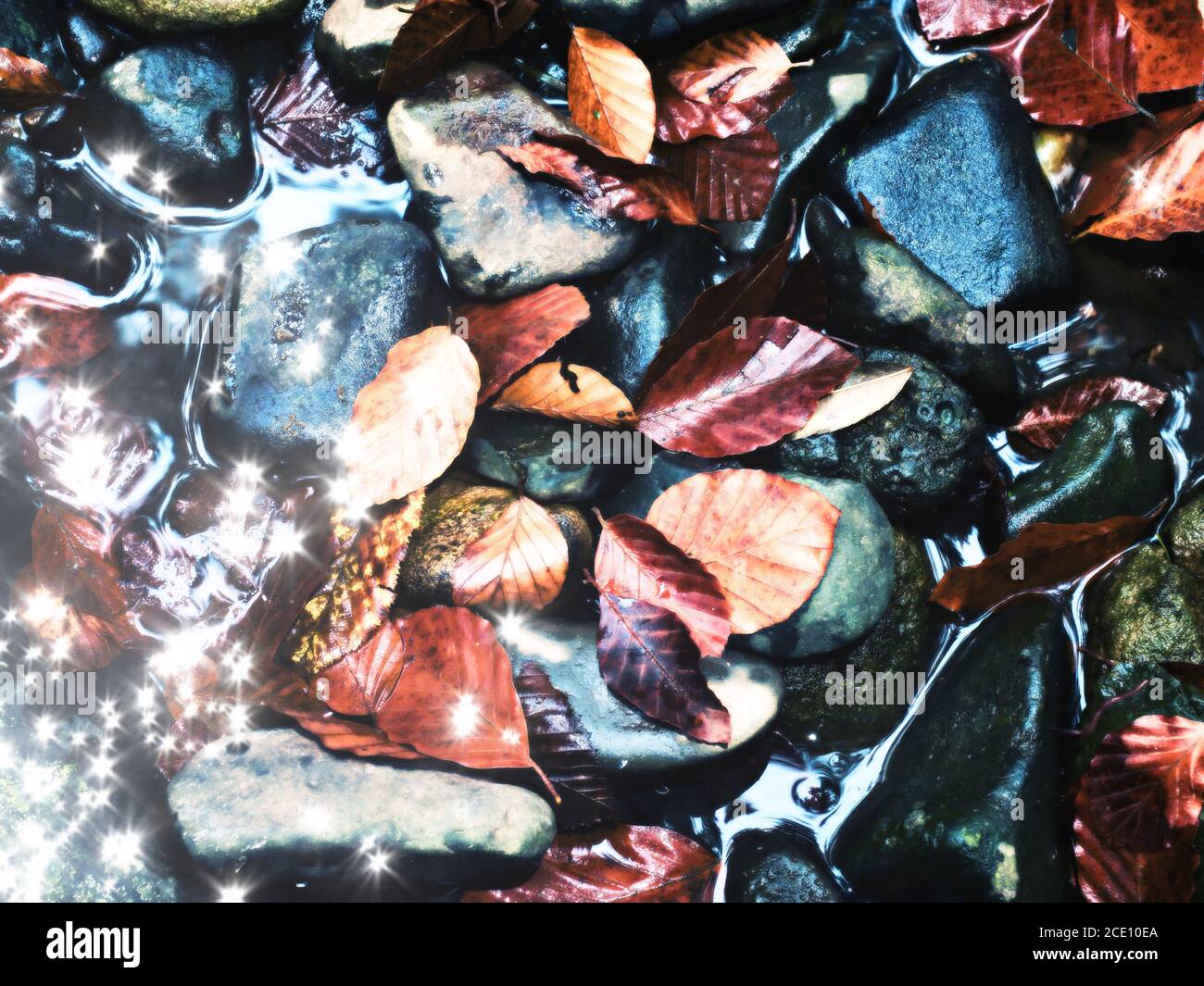 Film effect. Fallen beech leaves and stones in water of mountain river. Autumn colors. Symbol of fall season.  Orange rotten  le Stock Photo