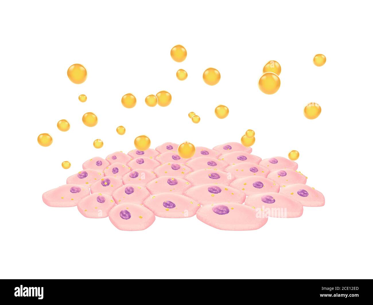 Skin cells and shower gel droplets isolated on white, Anti-aging skin care concept Stock Photo