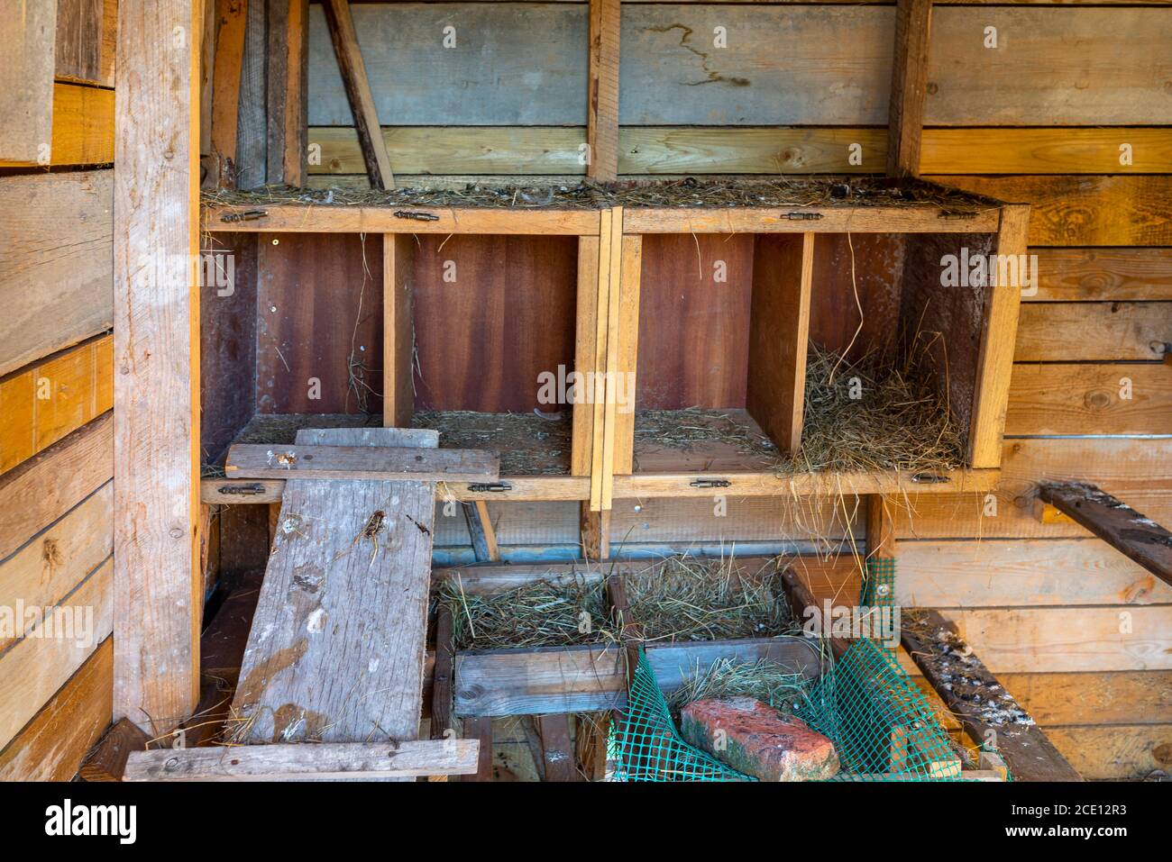 The interior of a wooden henhouse in the countryside, visible pens and a wooden ramp. Stock Photo