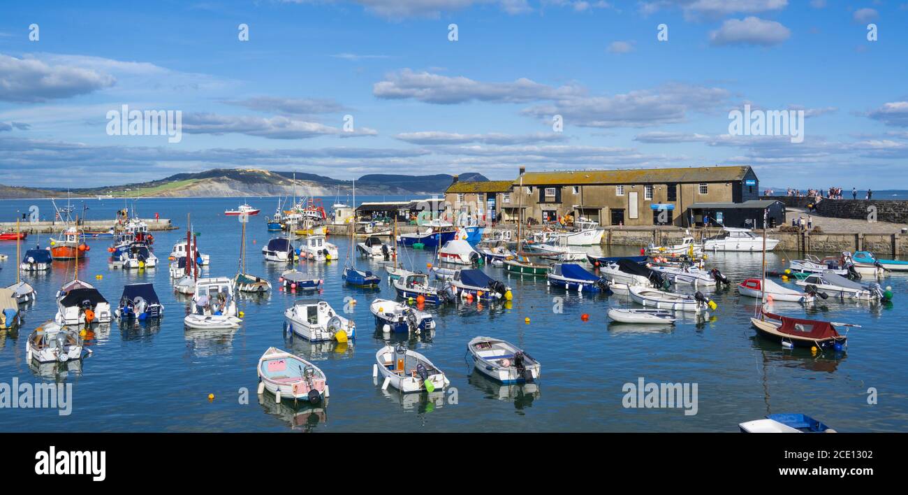 Lyme Regis, Dorset, UK. 30th August 2020. UK Weather: the Cobb and harbour at Lyme Regis is bathed in later afternoon sunshine. Credit: Celia McMahon/Alamy Live News. Stock Photo