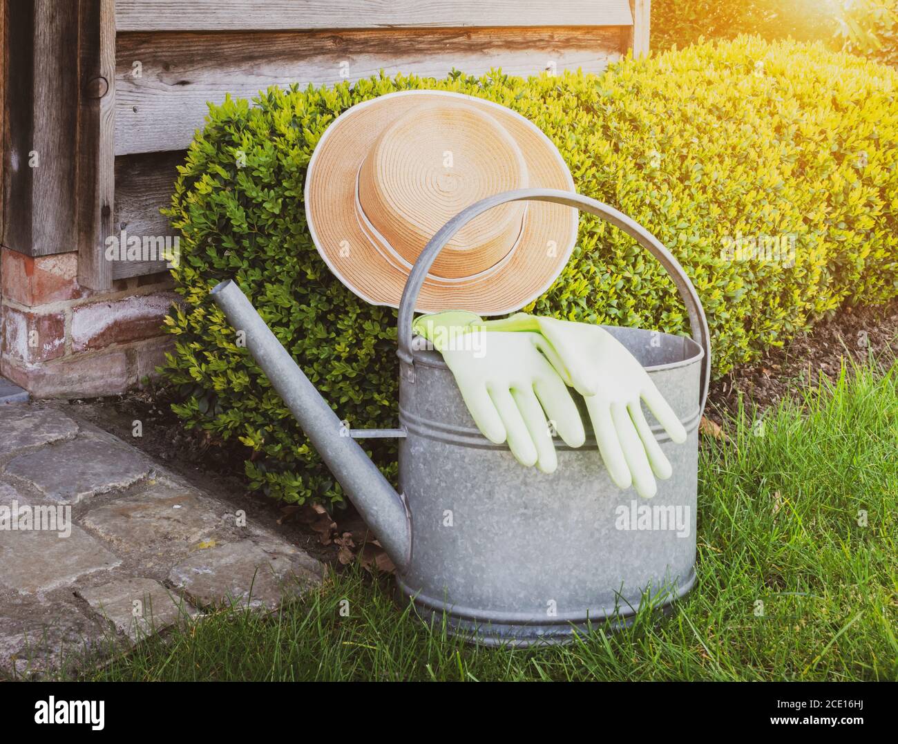 Gardening concept: Summer hat, zinc watering can and garden gloves at Boxwood plant in the garden. Stock Photo