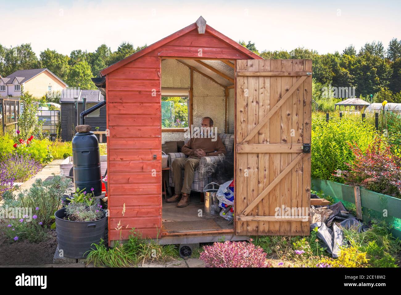 Allotment shed isolated hi-res stock photography and images - Alamy
