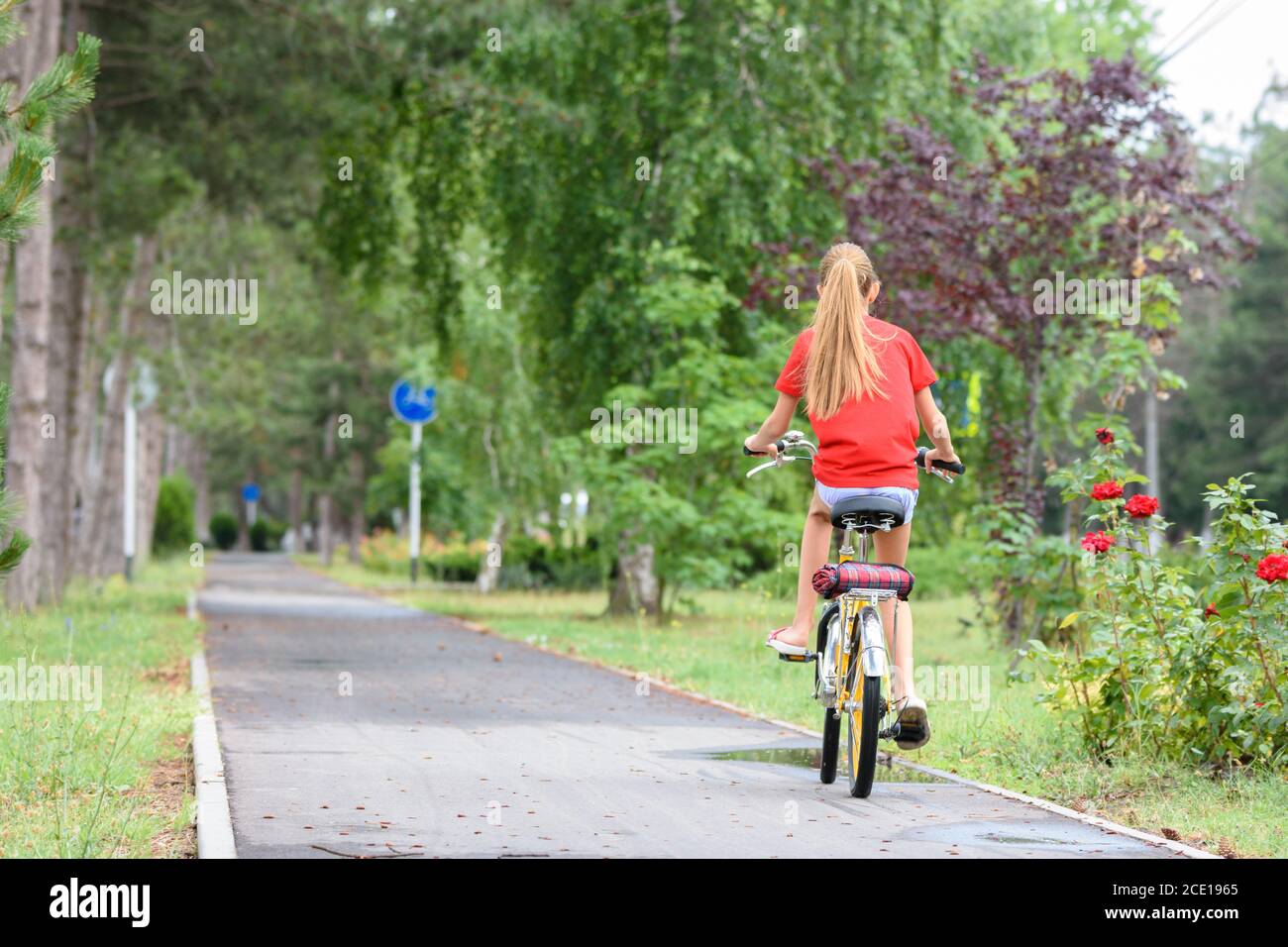 Girl in a red T-shirt rides on a bike path in the park Stock Photo