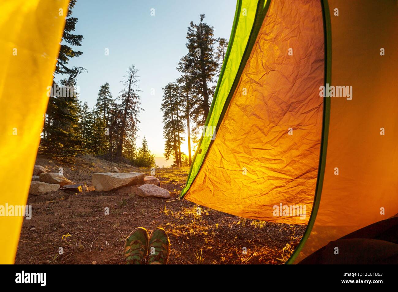 Tent in the forest Stock Photo - Alamy