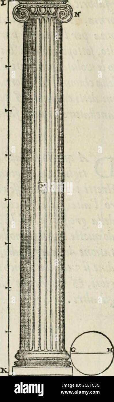 . Della architettvra . V I B R O. i*fe§éis* TT !? ; £1 AZ/LZT colonne Corintie recita Vitruuio, che fi dato il capitello a cafò.Perche una Vergine cittadina di Corinto , ejfendo uenuta à morte lafra nutrie e,raccolti tutti quei ruapìdè quali ejfa Vergine cinedo fi diletta-na,pojìili in un ceflo, lo collocò in memoria fua nel luogo,dou ella era fatafepolta,& ui pofè fòpra una tegola per maggiormente fermaruelo. As cafòil e e fio uenne ad ejjer poffo fipra una radice di Acanto, la quale co fi fop-prejfa mandò fuori da lati di ejfo cefo le foglie, £f i ramufielli faoi, i qua-li crefeendo, & urtan Stock Photo