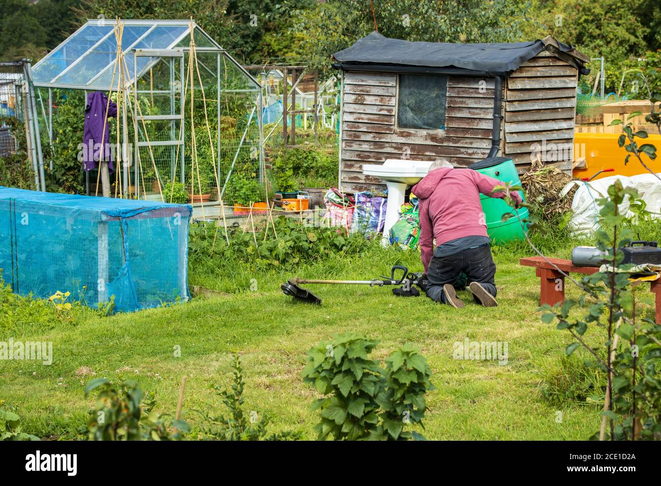 Kneeling man rear view hi-res stock photography and images - Alamy