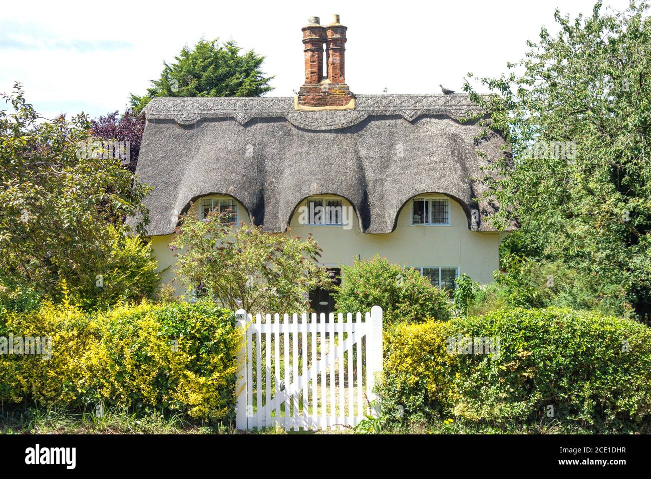 Thatched cottage and garden, The Village, Old Warden, Bedfordshire, England, United Kingdom Stock Photo