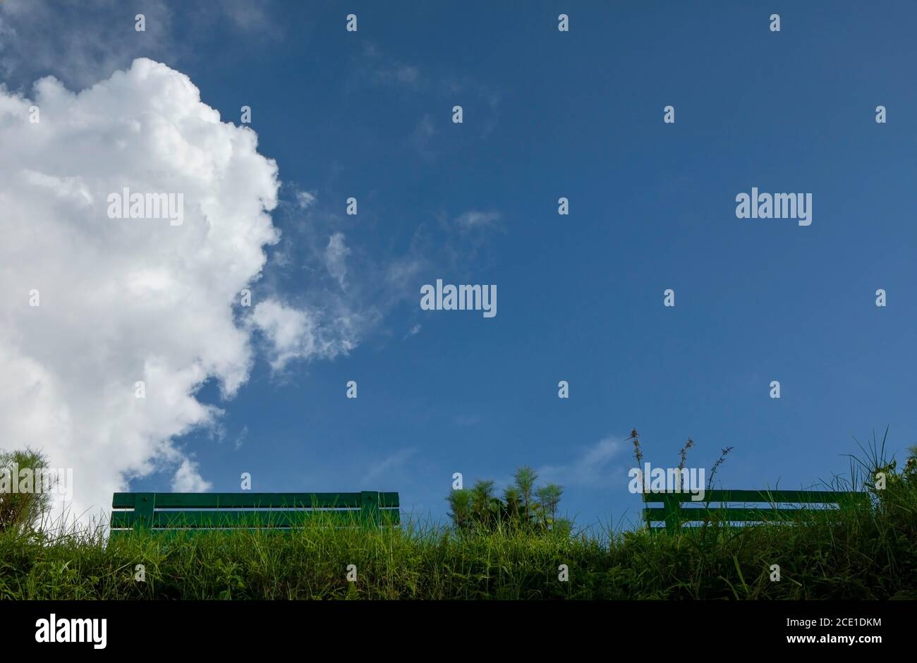 Benches in the greenery hi-res stock photography and images - Alamy