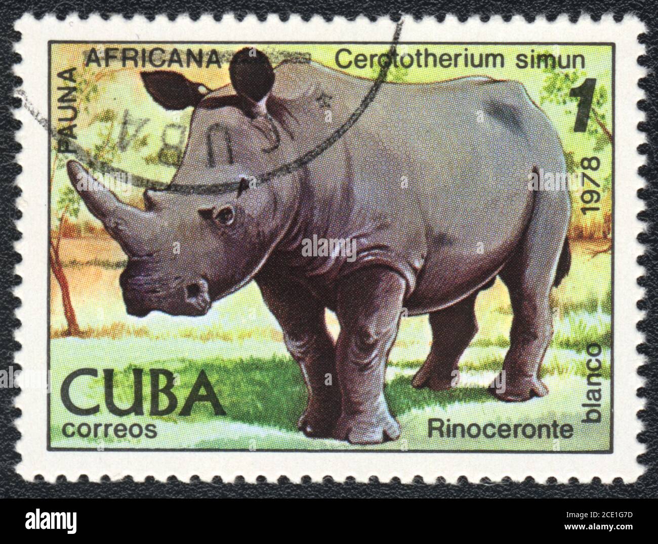 A stamp printed in CUBA. White Rhino, African fauna series, 1978 Stock Photo