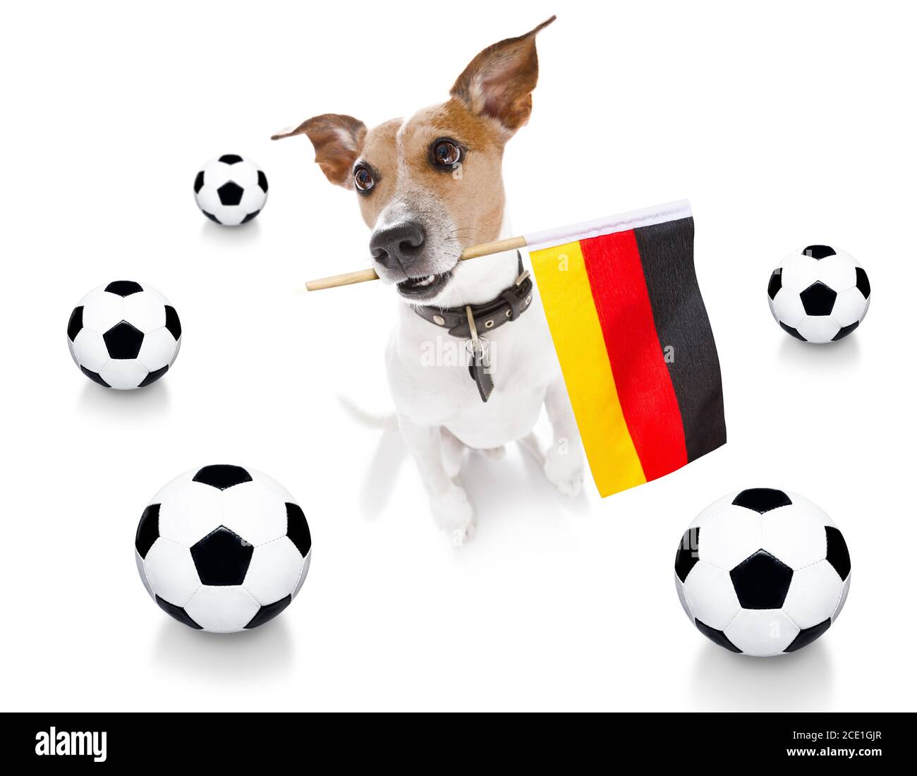 soccer football dog Stock Photo Alamy