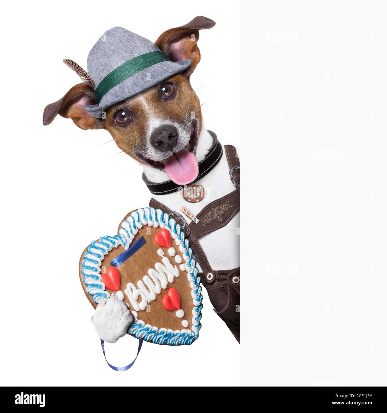 oktoberfest dog Stock Photo