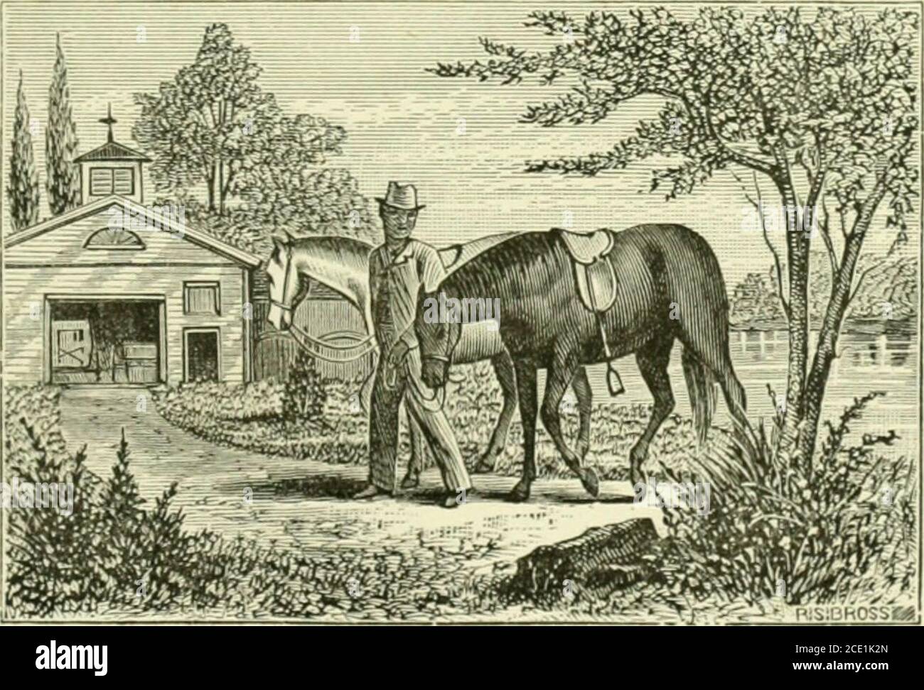 . A gallop among American scenery; or, Sketches of American scenes and ...