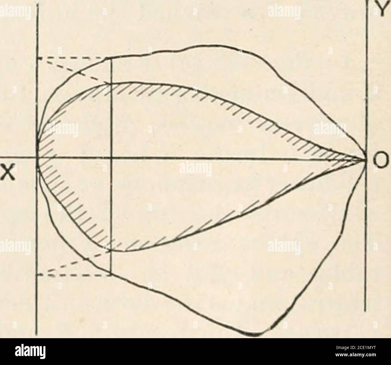 A Text Book Of Physics For The Use Of Students Of Science And Engineering Fig The Triangles Abe And Adc The Centre Ofgravity G Then Lies At The Intersection Of