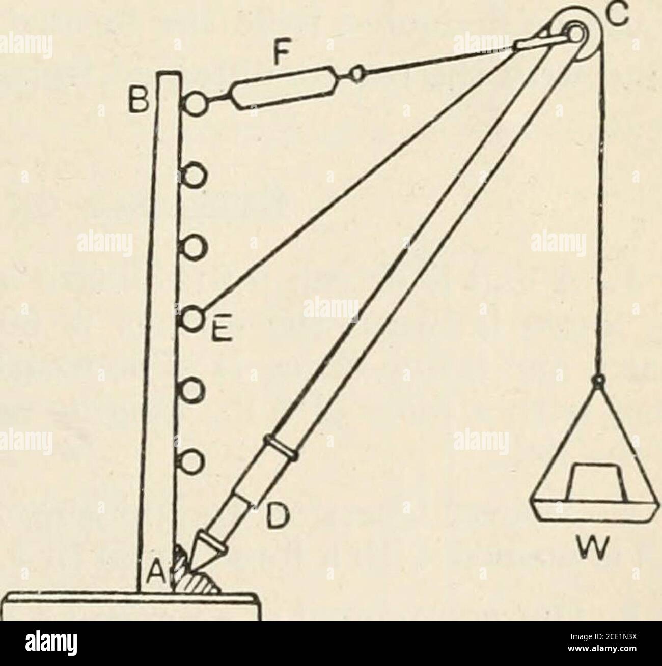 . A text book of physics, for the use of students of science and engineering . —Derrick crane. A derrick crane model is shown in Fig. 98,consisting of a post AB firmly fixed to a base board which is screwed to atable ; a jib AC has a pointed end at A bearing in a cup recess, a pulley at Cand a compression spring balance atD. A tie BC supports the jib andis of adjustable length ; a springbalance for measuring the pull isinserted at F. The weight is sup-ported by a cord led over thepulley at C and attached to one ofthe screw-eyes on the post. Theinclination of the jib may be alteredby adjusting Stock Photo