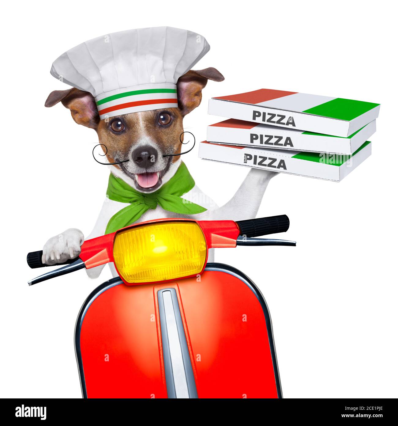 pizza delivery dog Stock Photo Alamy