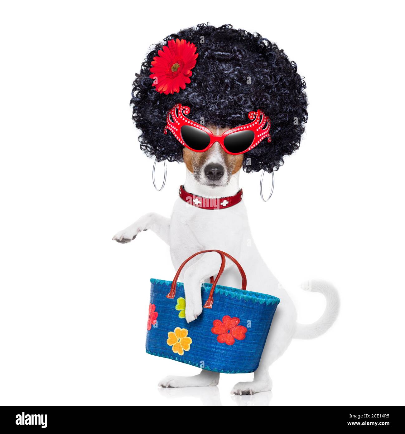 Fur Lovin' Dog Diva Costume