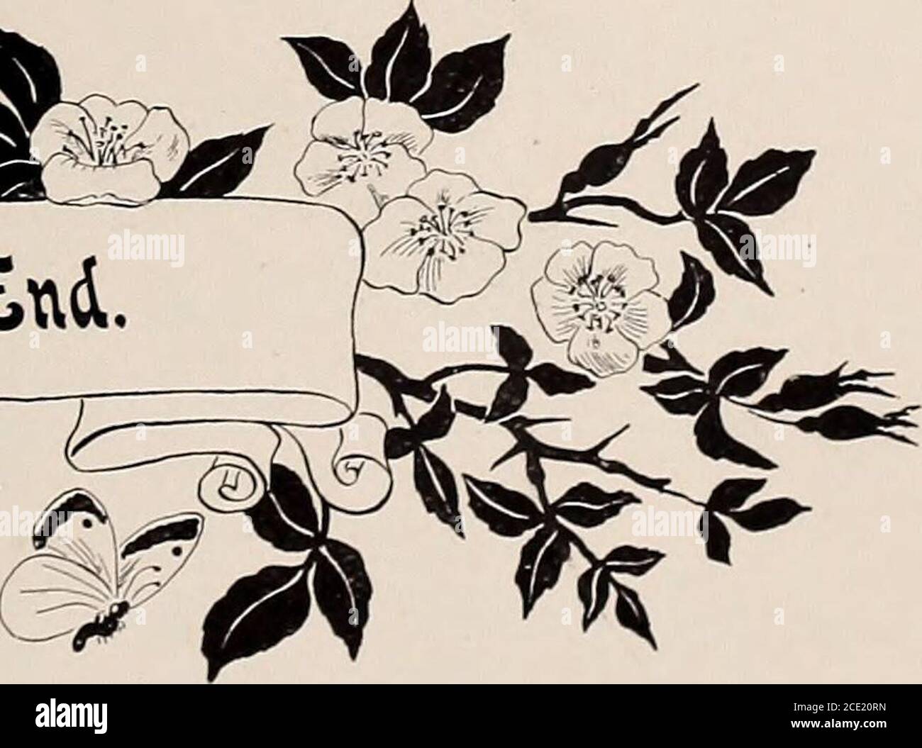 . A history of handmade lace dealing with the origin of lace, the