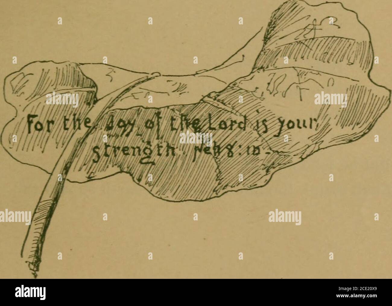 Living Leaves For Christian Endeavor Gt Sing Unto The Lord A New Song And His Praise In The Eonsregation Of Saints Vs Cxlix 1 Rejoice In The Lord Rejoice Living Leaves For Christian Endeavor Gt Sing Unto The Lord A New Song And His Praise In The Eonsregation Of Saints Vs Cxlix 1 Rejoice In The Lord Rejoice
