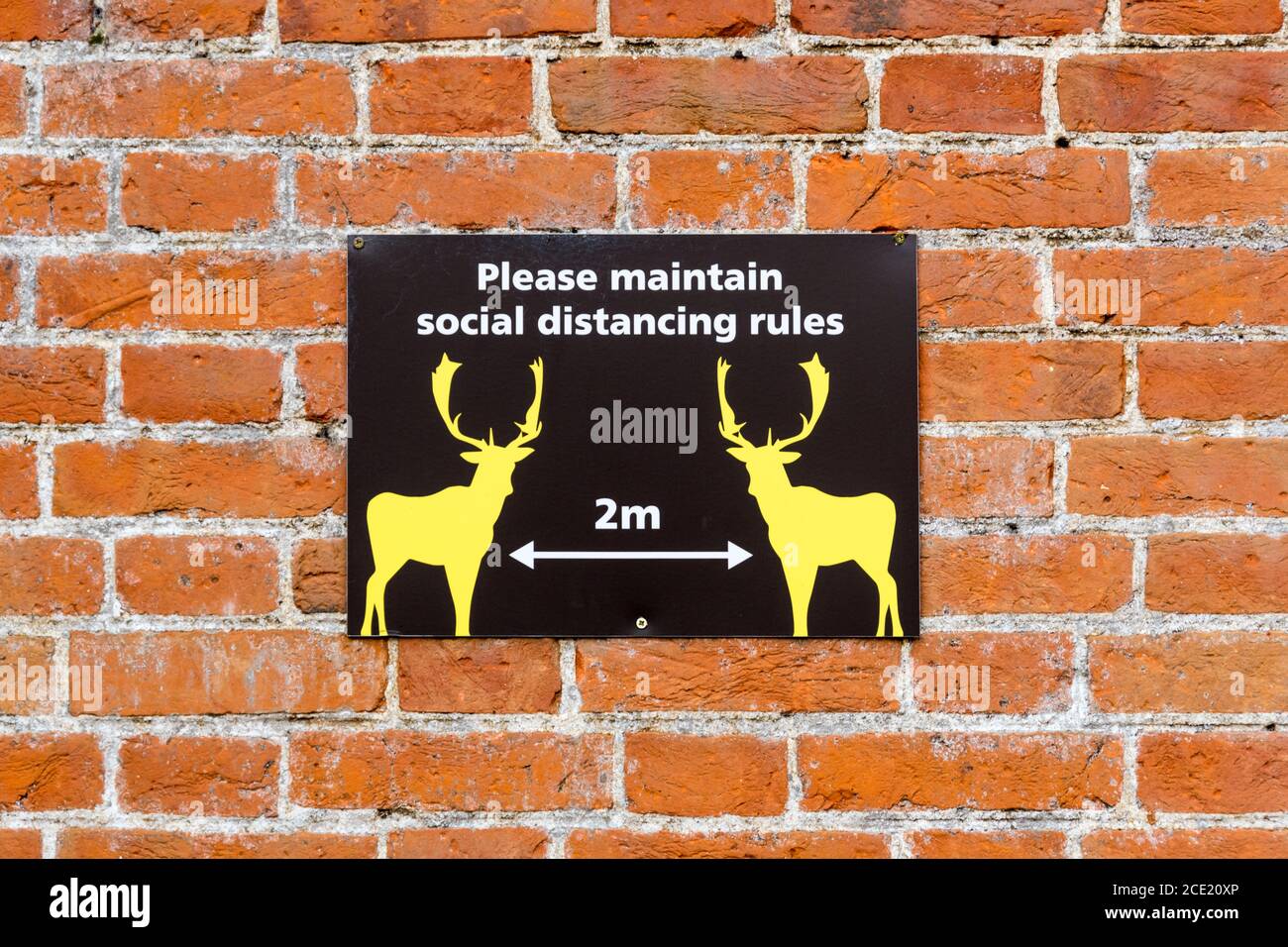 A notice at Houghton Hall in Norfolk uses the deer parks famous white deer to promote 2m social distancing during 2020 coronavirus COVID-19 pandemic. Stock Photo
