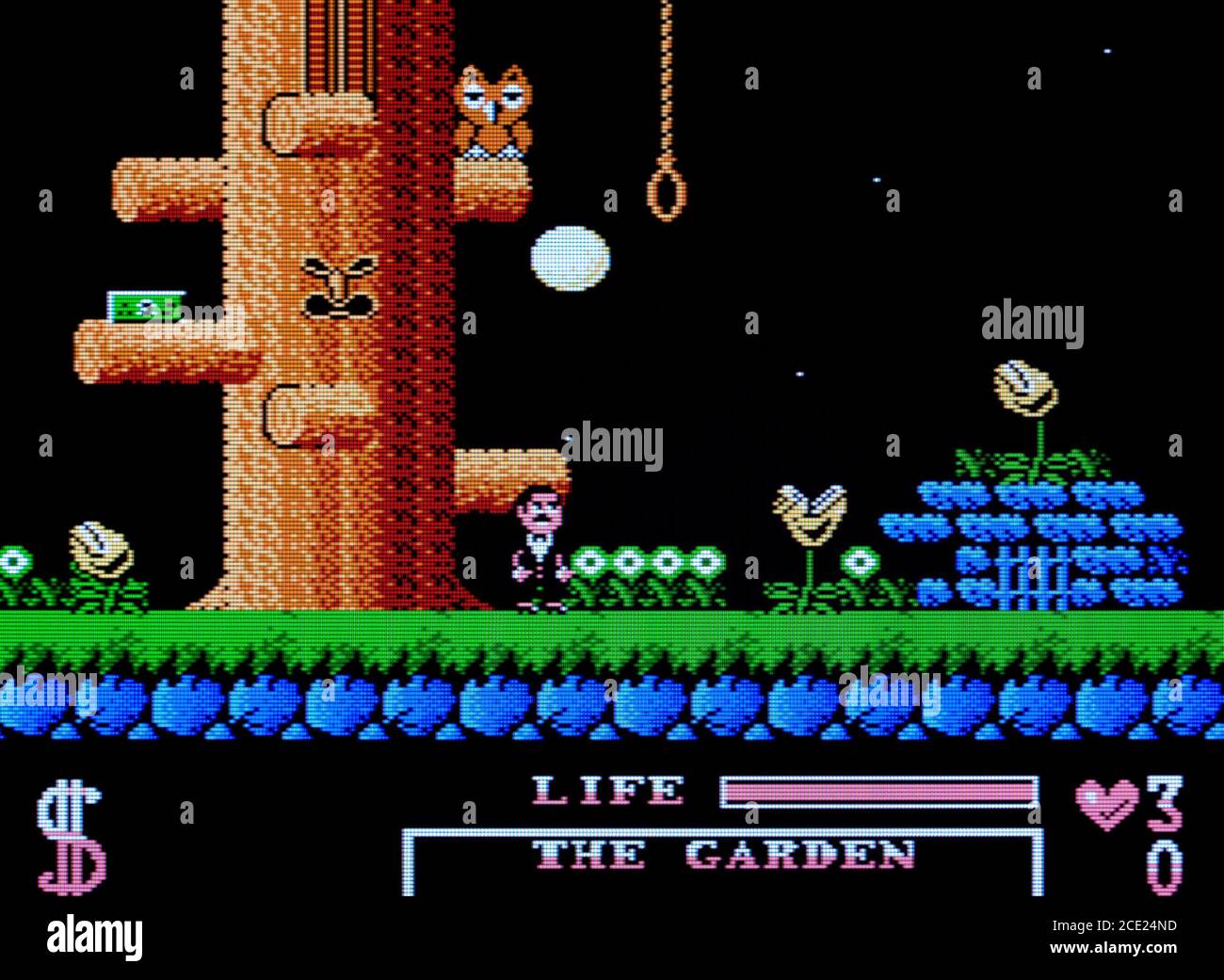The Addams Family - Nintendo Entertainment System - NES The Addams Family - Nintendo Entertainment System - NES
