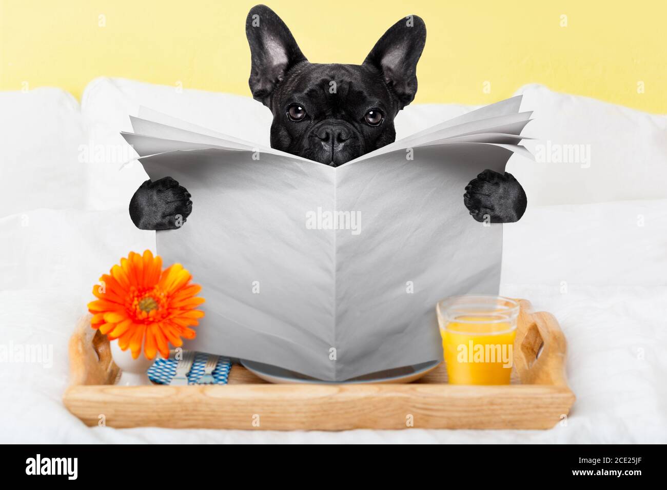 Newspaper advertisement food hires stock photography and images Alamy