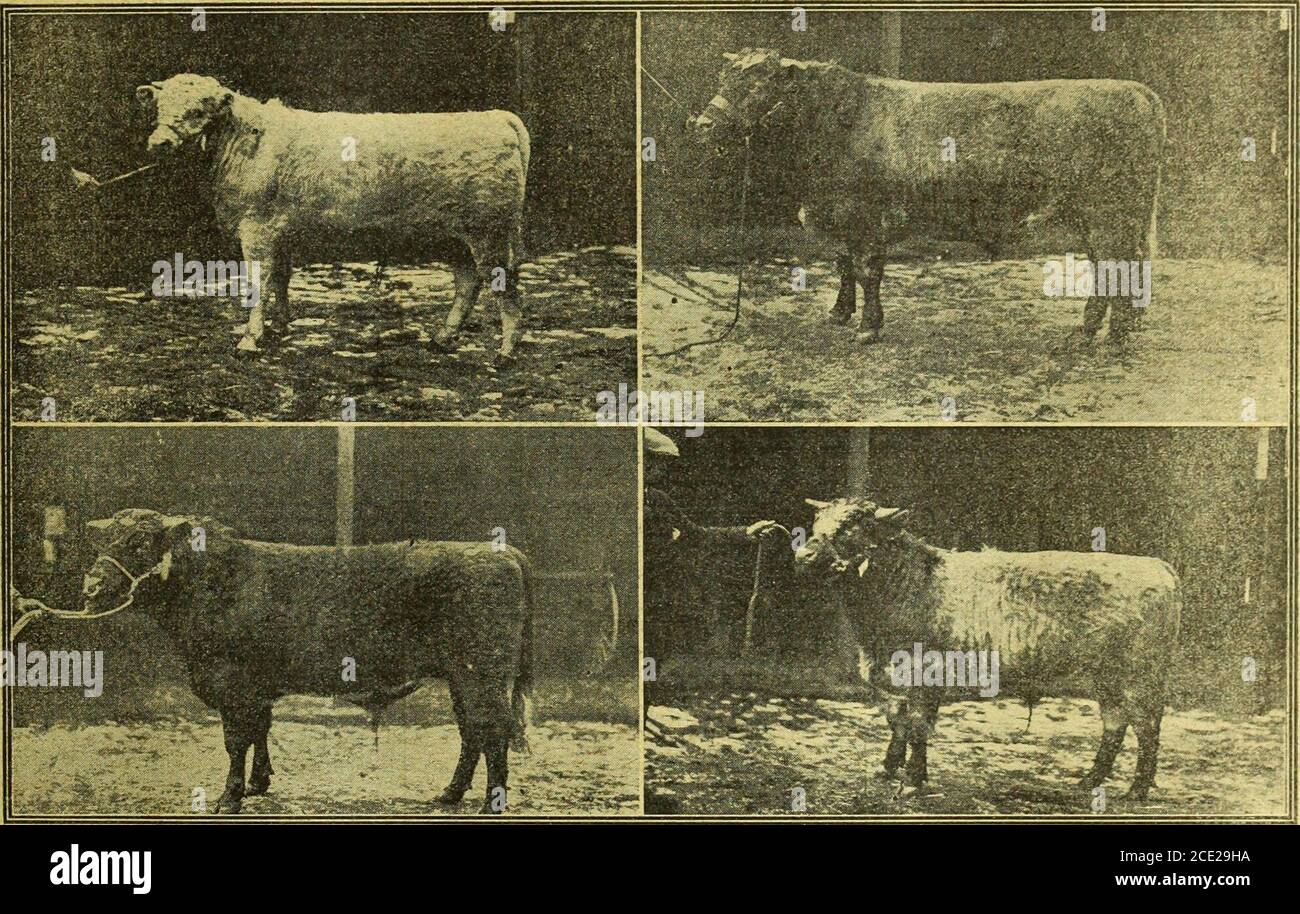 e betts high resolution stock photography and images alamy