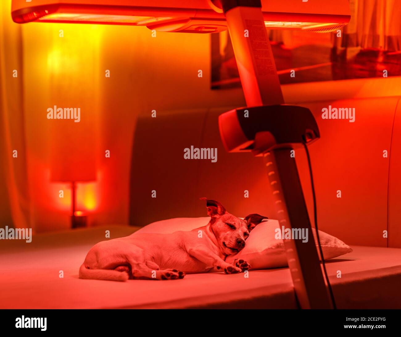 Red light therapy hires stock photography and images Alamy