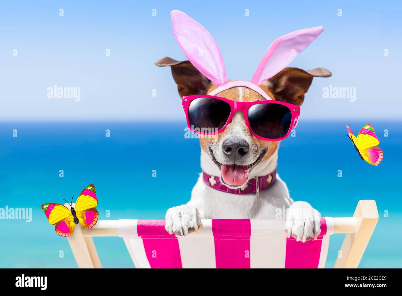 Vacation easter dog Stock Photo